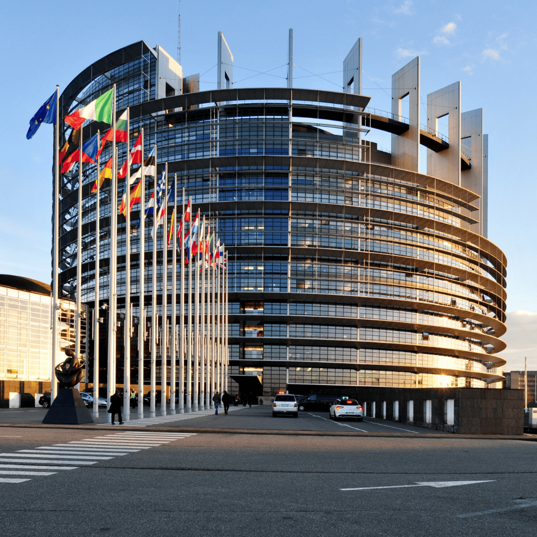 Fruitful Week in the European Parliament on Freedom of Religion and Belief