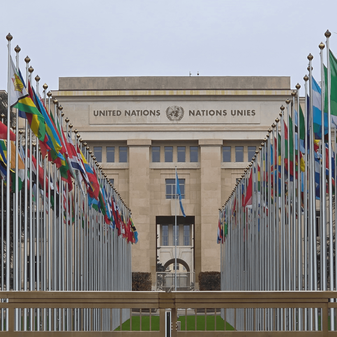 Reaction to UN Report on Sex-Based Violence Against Women and Girls